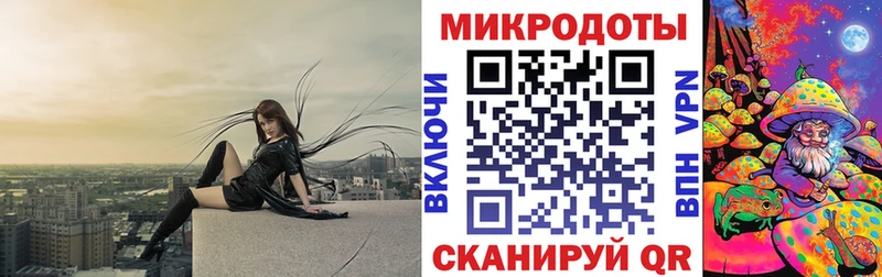 дарнет шоп  Тулун  Галлюциногенные грибы GOLDEN TEACHER 